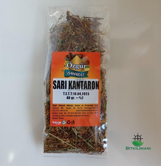 Özgür Baharat Sarı Kantoron 40 gr